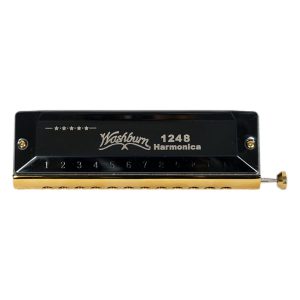 سازدهنی کروماتیک Washburn 1248