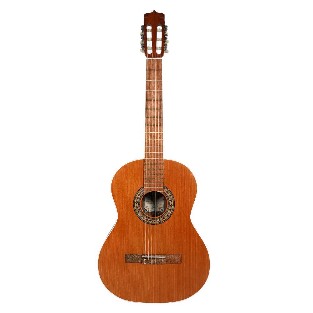گیتار کلاسیک پارسی مدل D6